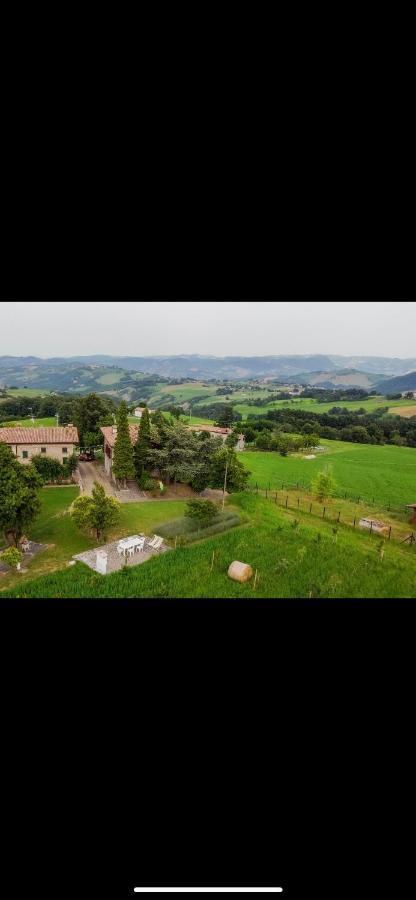 La Baita Nei Boschi Villa Serramazzoni Eksteriør bilde
